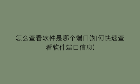 怎么查看软件是哪个端口(如何快速查看软件端口信息)