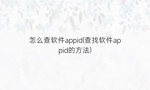 “怎么查软件appid(查找软件appid的方法)