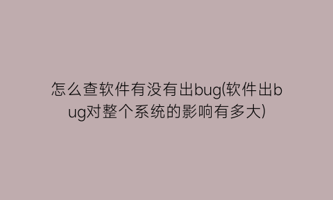 怎么查软件有没有出bug(软件出bug对整个系统的影响有多大)