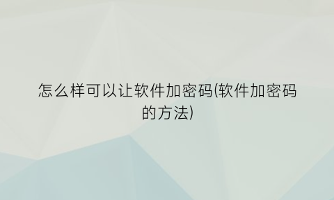 “怎么样可以让软件加密码(软件加密码的方法)