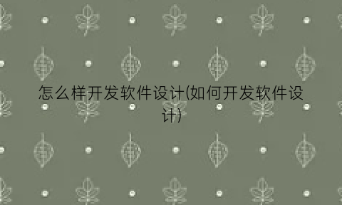怎么样开发软件设计(如何开发软件设计)
