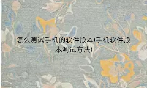 “怎么测试手机的软件版本(手机软件版本测试方法)