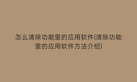 怎么清除功能里的应用软件(清除功能里的应用软件方法介绍)