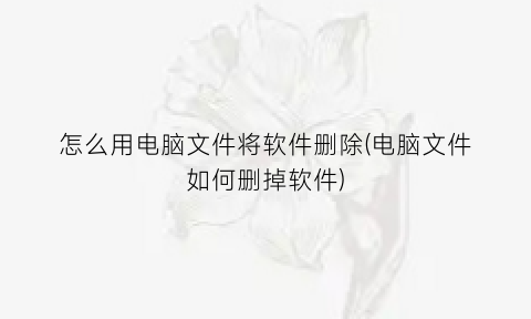 怎么用电脑文件将软件删除(电脑文件如何删掉软件)