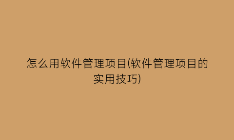 怎么用软件管理项目(软件管理项目的实用技巧)