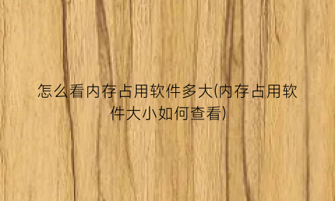 怎么看内存占用软件多大(内存占用软件大小如何查看)