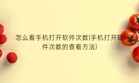 “怎么看手机打开软件次数(手机打开软件次数的查看方法)