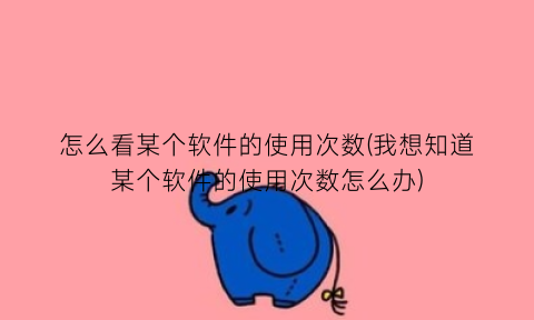 怎么看某个软件的使用次数(我想知道某个软件的使用次数怎么办)