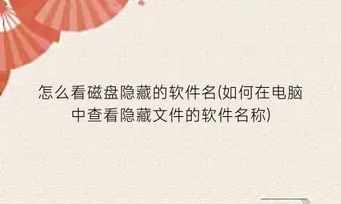 怎么看磁盘隐藏的软件名(如何在电脑中查看隐藏文件的软件名称)