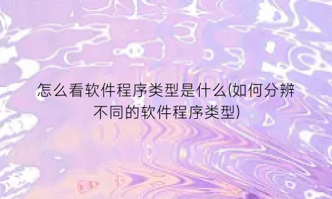 “怎么看软件程序类型是什么(如何分辨不同的软件程序类型)