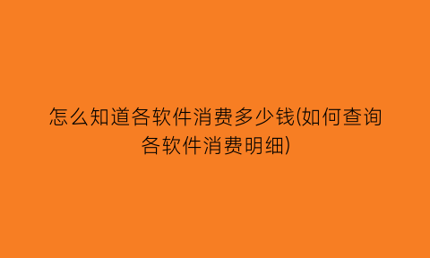 怎么知道各软件消费多少钱(如何查询各软件消费明细)