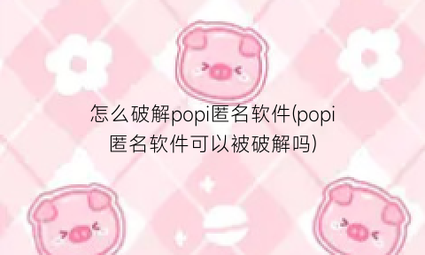 怎么破解popi匿名软件(popi匿名软件可以被破解吗)