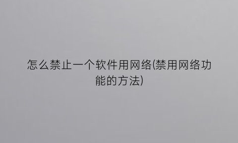 怎么禁止一个软件用网络(禁用网络功能的方法)