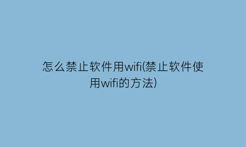 “怎么禁止软件用wifi(禁止软件使用wifi的方法)