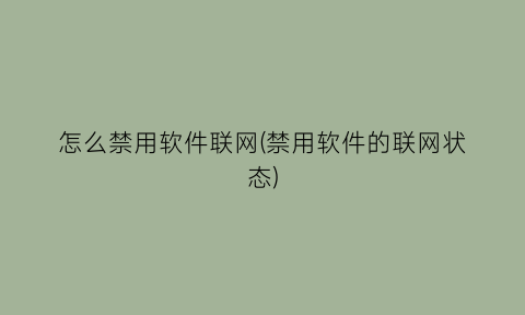 “怎么禁用软件联网(禁用软件的联网状态)