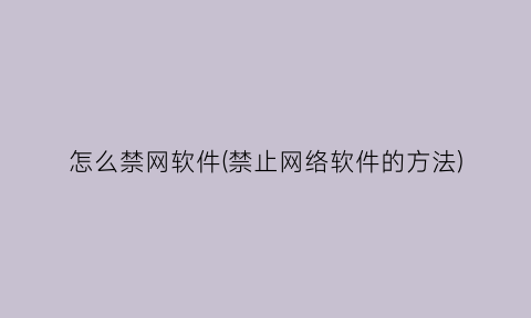 怎么禁网软件(禁止网络软件的方法)