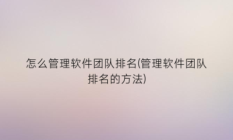 怎么管理软件团队排名(管理软件团队排名的方法)