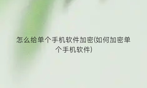 怎么给单个手机软件加密(如何加密单个手机软件)