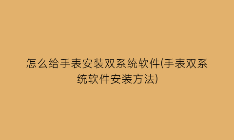 怎么给手表安装双系统软件(手表双系统软件安装方法)