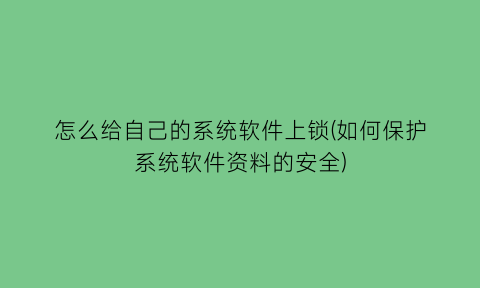 怎么给自己的系统软件上锁(如何保护系统软件资料的安全)