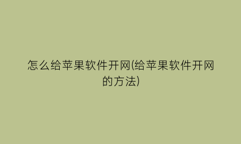 怎么给苹果软件开网(给苹果软件开网的方法)