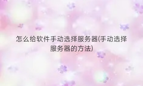 “怎么给软件手动选择服务器(手动选择服务器的方法)
