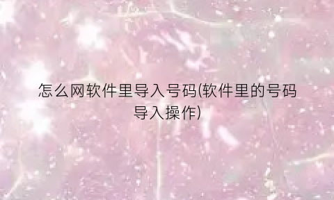 “怎么网软件里导入号码(软件里的号码导入操作)