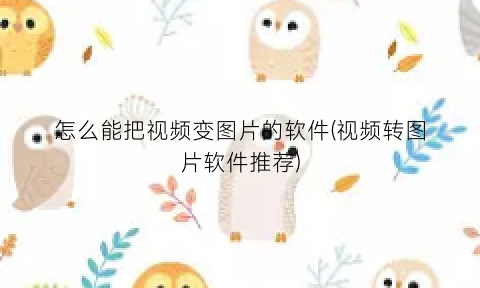 “怎么能把视频变图片的软件(视频转图片软件推荐)