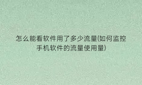 怎么能看软件用了多少流量(如何监控手机软件的流量使用量)