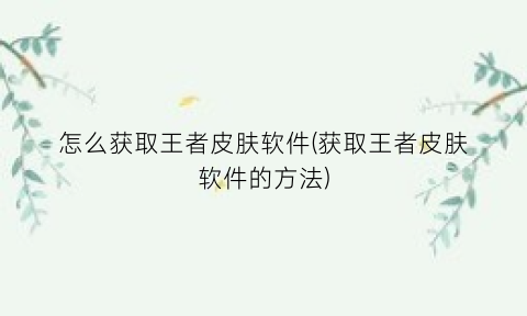 “怎么获取王者皮肤软件(获取王者皮肤软件的方法)