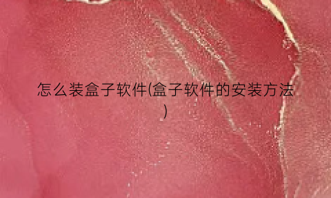 怎么装盒子软件(盒子软件的安装方法)