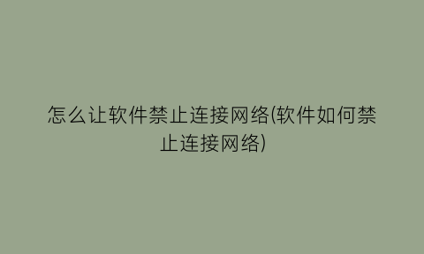 怎么让软件禁止连接网络(软件如何禁止连接网络)