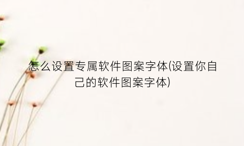 怎么设置专属软件图案字体(设置你自己的软件图案字体)