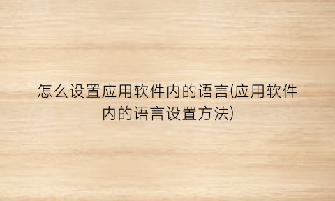 怎么设置应用软件内的语言(应用软件内的语言设置方法)