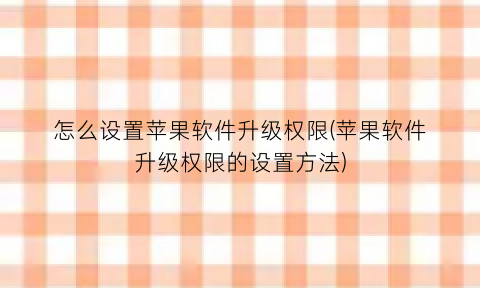 怎么设置苹果软件升级权限(苹果软件升级权限的设置方法)