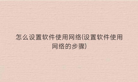怎么设置软件使用网络(设置软件使用网络的步骤)