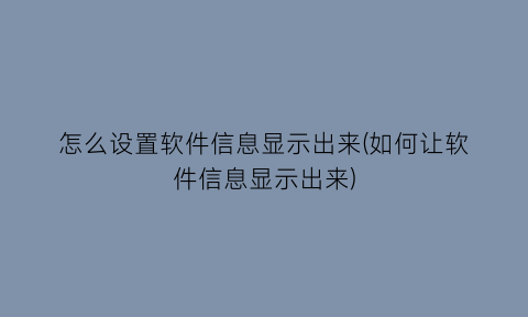 怎么设置软件信息显示出来(如何让软件信息显示出来)