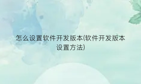 怎么设置软件开发版本(软件开发版本设置方法)