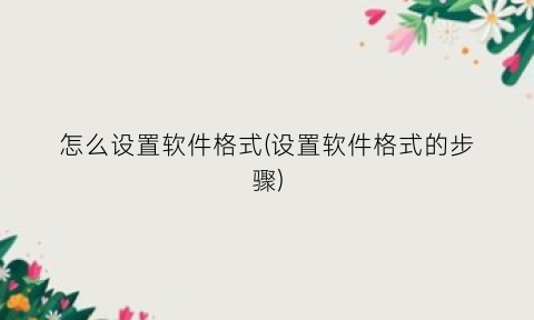 “怎么设置软件格式(设置软件格式的步骤)