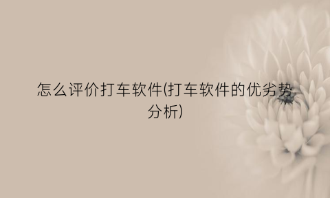 怎么评价打车软件(打车软件的优劣势分析)