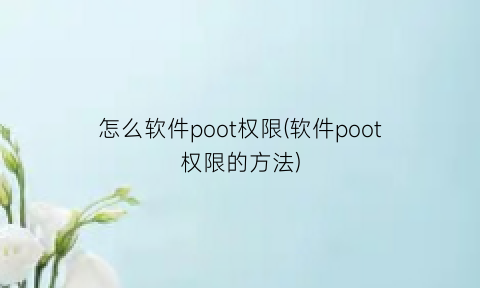 怎么软件poot权限(软件poot权限的方法)