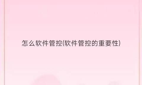 “怎么软件管控(软件管控的重要性)