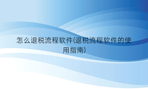 “怎么退税流程软件(退税流程软件的使用指南)