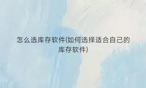 “怎么选库存软件(如何选择适合自己的库存软件)