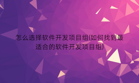 “怎么选择软件开发项目组(如何找到最适合的软件开发项目组)
