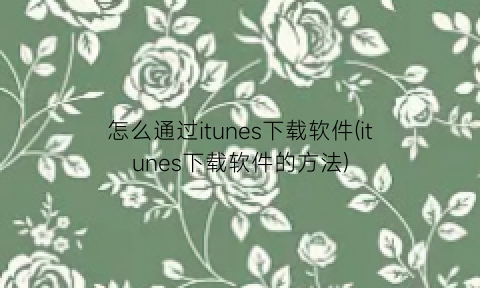 “怎么通过itunes下载软件(itunes下载软件的方法)