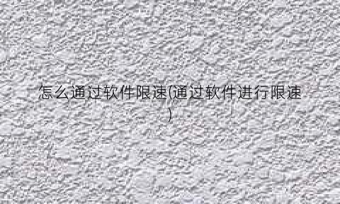 “怎么通过软件限速(通过软件进行限速)