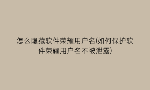 怎么隐藏软件荣耀用户名(如何保护软件荣耀用户名不被泄露)