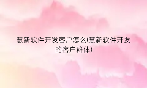 “慧新软件开发客户怎么(慧新软件开发的客户群体)