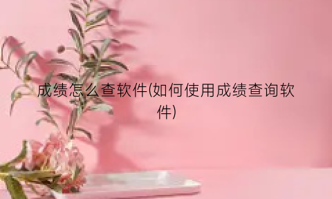 成绩怎么查软件(如何使用成绩查询软件)